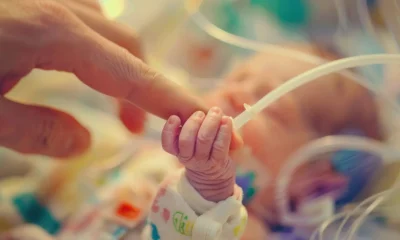 Main d'un nourrisson prématuré dans celle d'un adulte