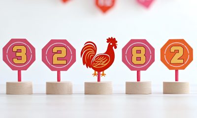 actu-web-phisalix-loto-cocot