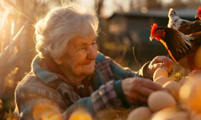 Une femme âgée dans un poulailler