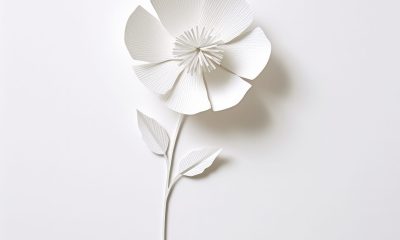 Fleur en papier