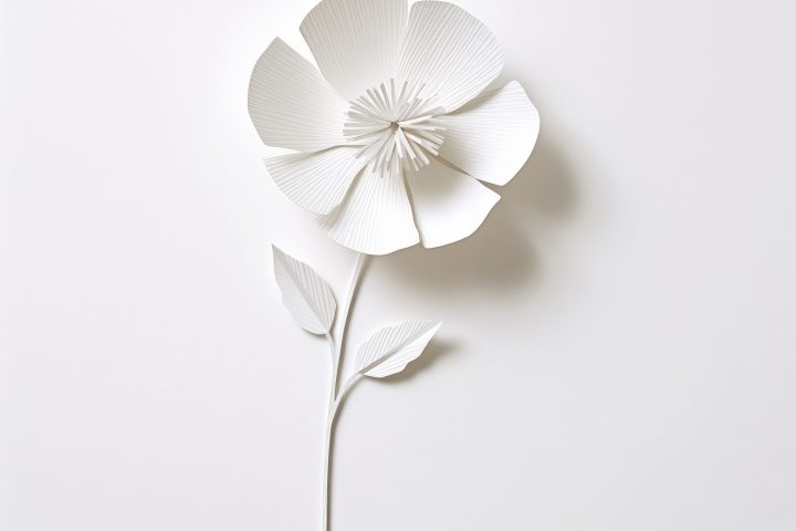 Fleur en papier