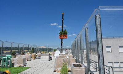 web-debut-travaux-jardin-SP