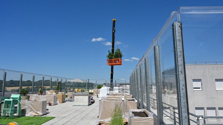 web-debut-travaux-jardin-SP